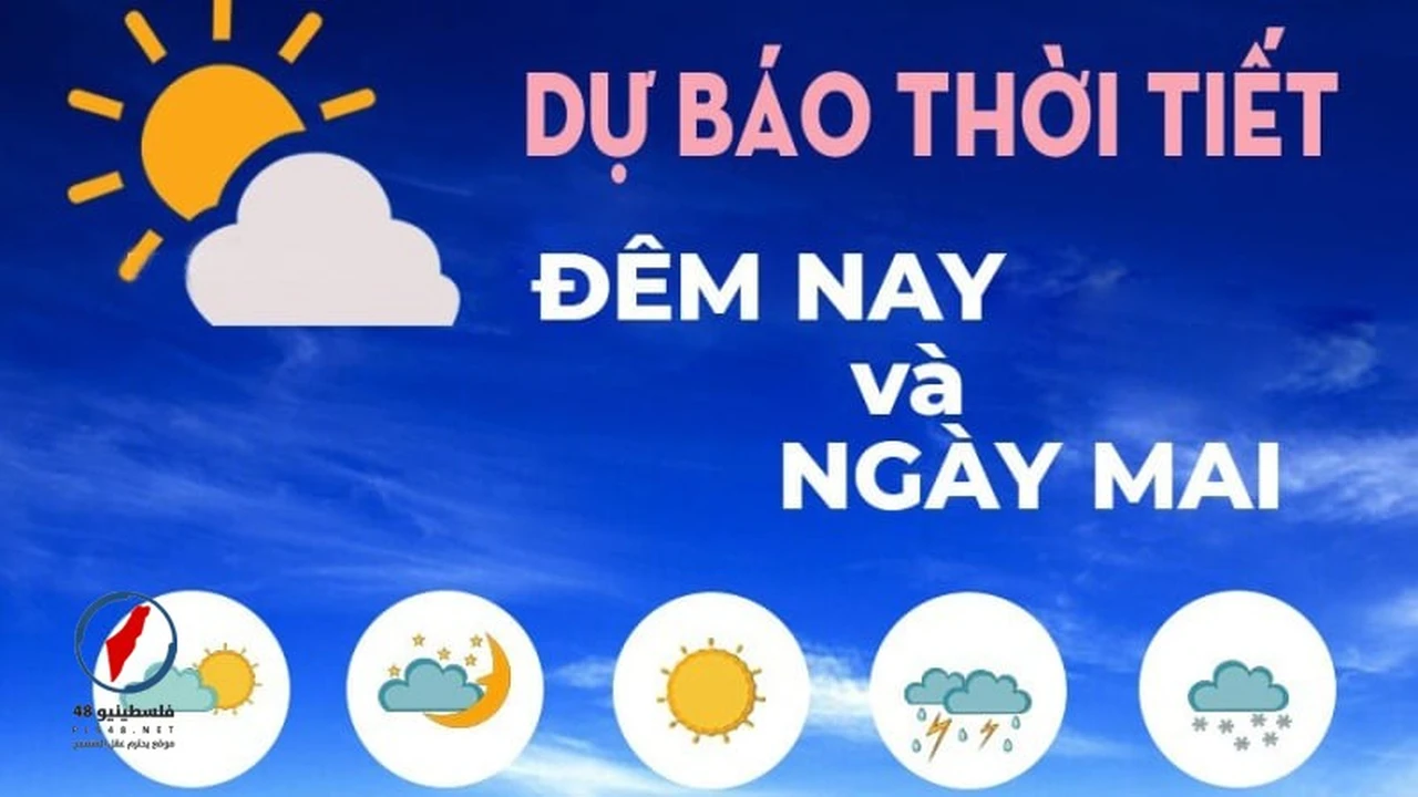 تحذيرات من حرائق الغابات تزامناً مع موجات حر في كوانغ نغاي